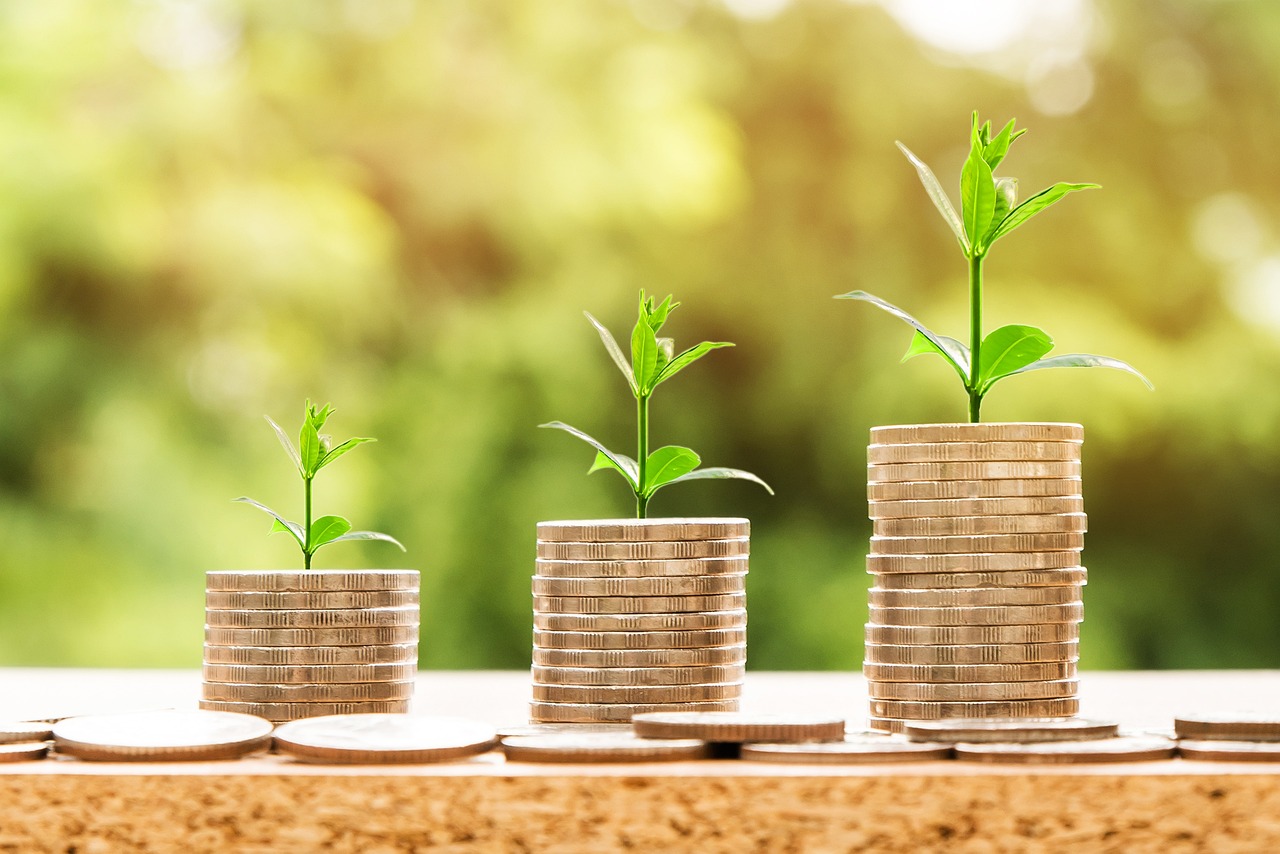 Wealth Building